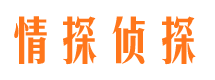 台前婚外情调查取证